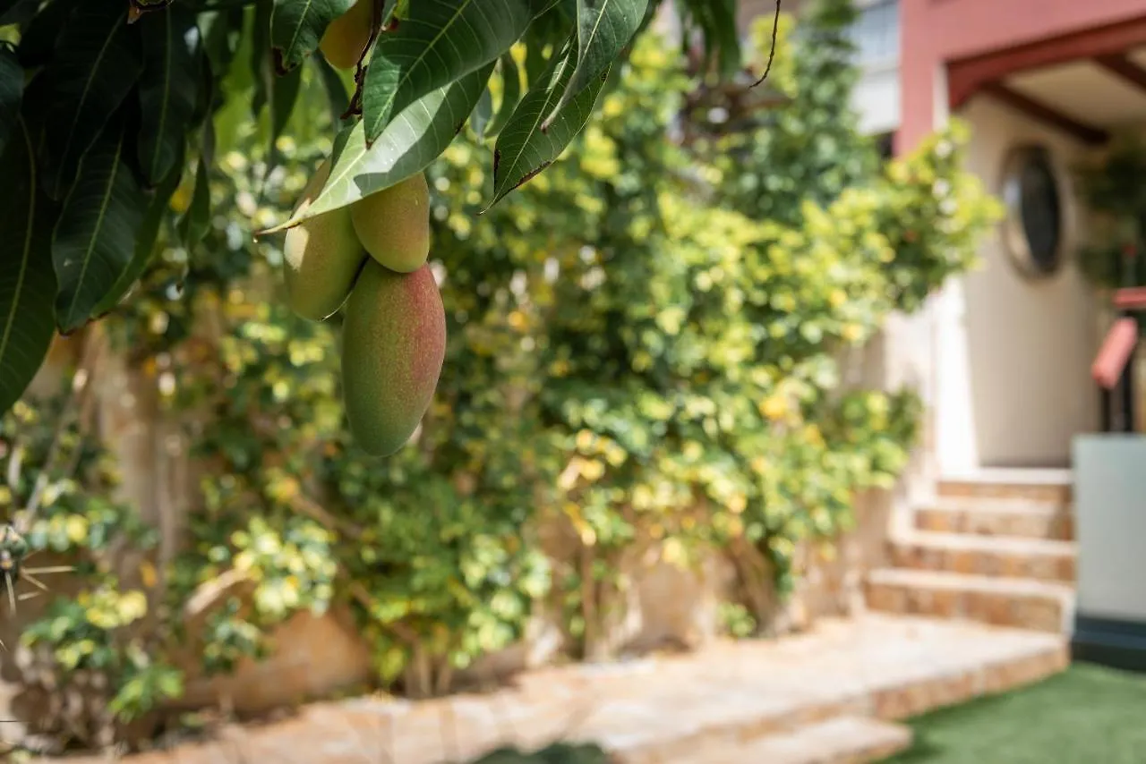 Comfortable 4-Bedroom Villa With Private Gardens Costa Adeje  Spain